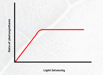 light intensity photosynthesis graph