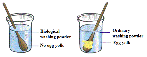 enzymatic washing powder