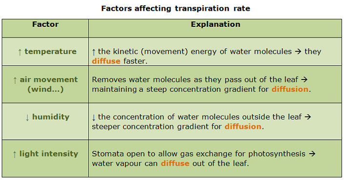 Transpiration in plants and factors affecting tranpiration rate