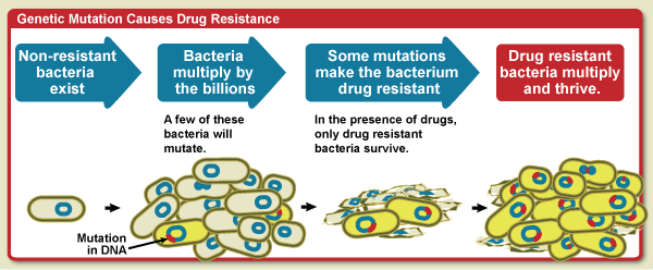 Antibiotic Resistance Bacteria Biology Notes For Igcse 2014 4513