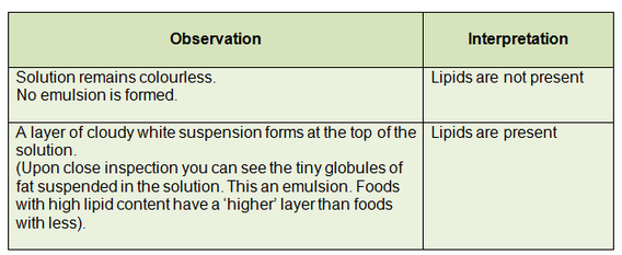 food test for lipids