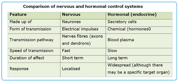 Hormones, adrenaline - Biology Notes for IGCSE 2014