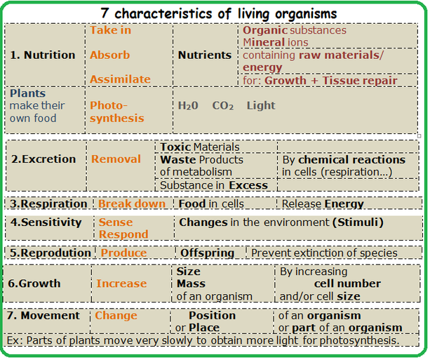 Characteristics Of Living Organisms Biology Notes For Igcse 14