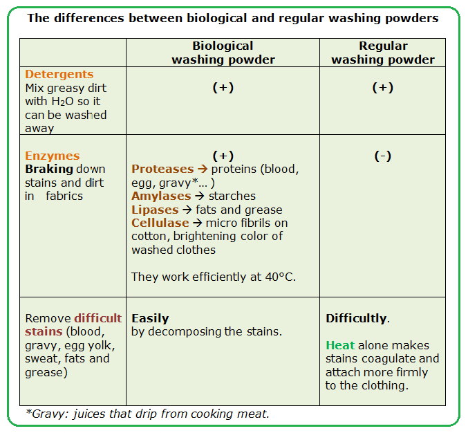 Use In Biological Washing Powders Biology Notes For Igcse 2014