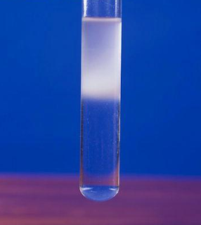 why do ethanol and water mix