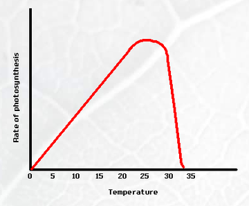 temperature photosynthesis rate effect igcse biology experiment optimum reaction halt which when weebly