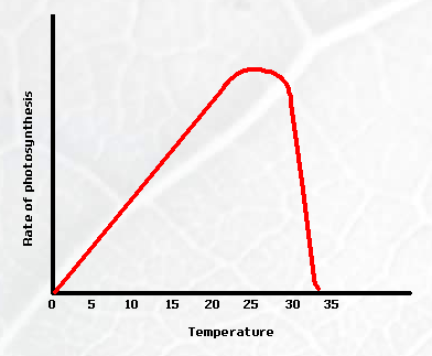 effect of temperature on rate of reaction lab report