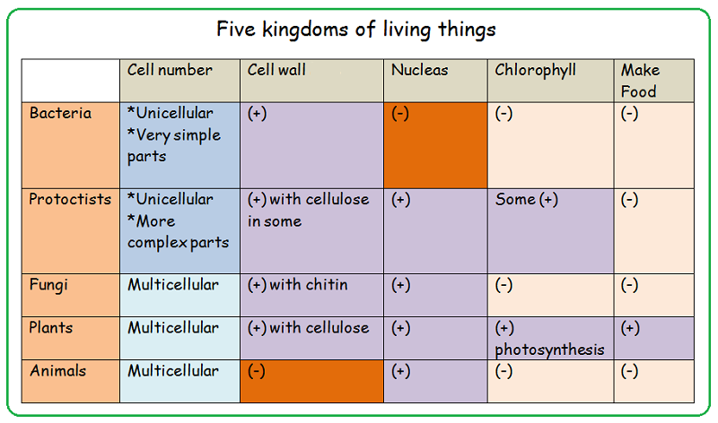 Kingdoms of Living organisms - Biology Notes for IGCSE 2014