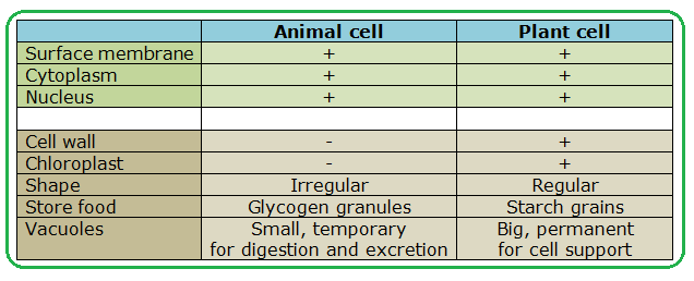 Structure - Biology Notes for IGCSE 2014