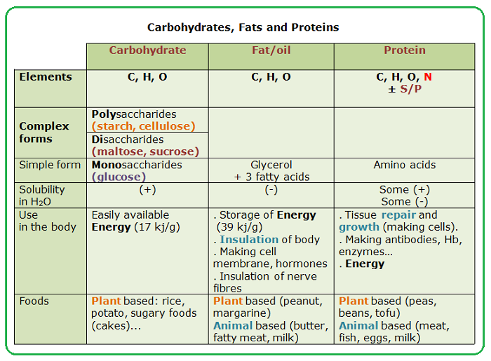 Main nutrients: carbohydrates, fats and proteins - Biology Notes for IGCSE 2014
