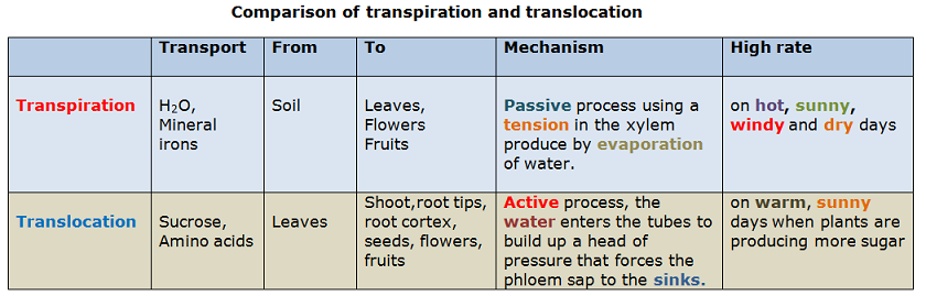 Transport Of Materials From Sources To Sinks At Different